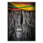 Buddha and the Tree Thailand Travel Photo Card