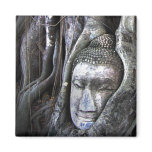 Buddha and the Tree Thailand Travel Photo Magnet