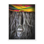 Buddha and the Tree Thailand Travel Photo Postcard