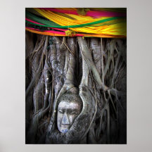 Buddha and The Tree Thailand Travel Photo Poster