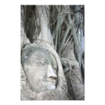 Buddha Head Photo