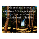 Buddha Path Quote Post Card