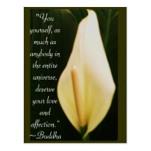 Buddha Quote Postcards