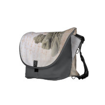 Buddha Rickshaw Kuriertasche