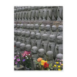 buddha statue rows post cards