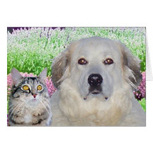 Buddies Card