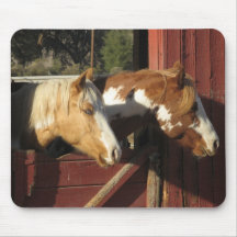 Buddies Mousepads