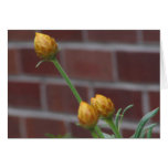 Budding against Bricks Greeting Card