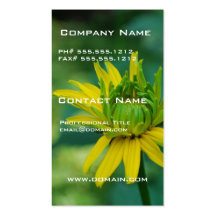 Budding False Sunflower Business Card