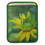 Budding False Sunflower iPad Sleeve