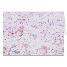 buddleja greeting cards