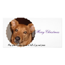 Buddy Line Merry Christmas Photo Card Template