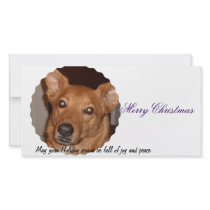 Buddy Line Merry Christmas Photo Card Template