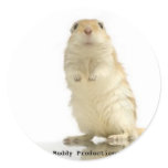 Buddy Sticker, Buddy Productions