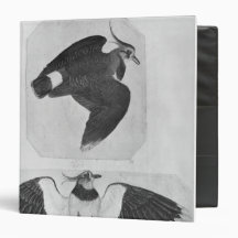 Budgerigars, from the The Vallardi Album Vinyl Binder