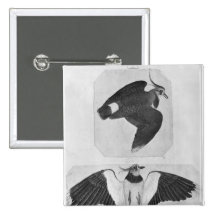 Budgerigars, from the The Vallardi Album Pin