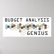 Budget Analysis Genius Poster