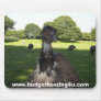 Budget Hosting 4 U Rea MMouse Mat Mouse Mats