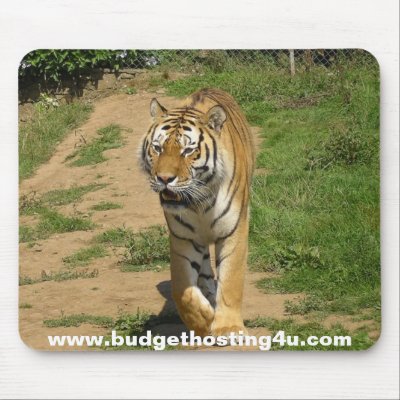 Budget Hosting 4 U Tiger Mouse Pad by budgethosting4u