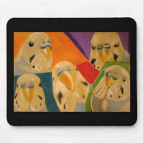 Budgie Budgerigar