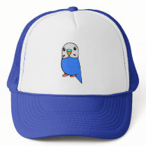 Budgie Hat