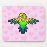 Budgie Love