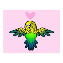Budgie Love Postcard