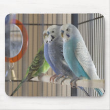 Budgies3 Mouse Pad