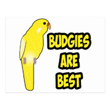 Budgies Are Best Post Card