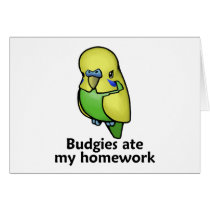 Budgies ate my homework