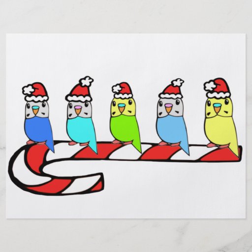 Budgies- Christmas Full Color Flyer