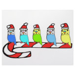 Budgies- Christmas Letterhead Template