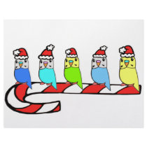 Budgies- Christmas