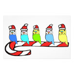 Budgies- Christmas Personalized Stationery