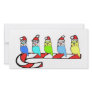 Budgies- Christmas Customized Photo Card