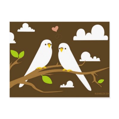 Budgies Postcard by mushmallow