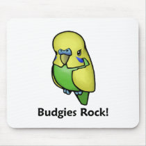 Budgies Rock!