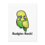 Budgies Rock!
