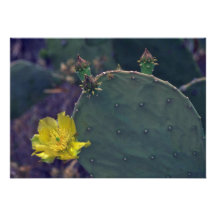 Buds And Flowers Of Cactus Personalized Invitations