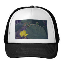 Buds And Flowers Of Cactus Trucker Hats