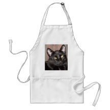 Budster 012 apron