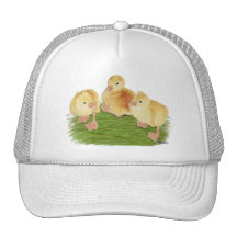 Buff Goslings Tufted Hat