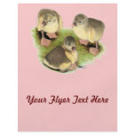Buff Pomeranian Goslings