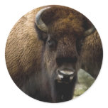 Buffalo 1549 Stickers
