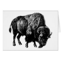 Buffalo American Bison Vintage Wood Engraving Card