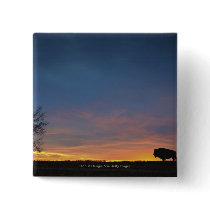 Buffalo At Sunset In Elk Island National Park Buttons