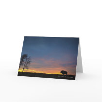 Buffalo At Sunset In Elk Island National Park Greeting Card