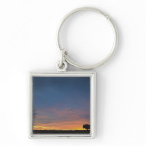 Buffalo At Sunset In Elk Island National Park Keychain