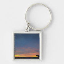 Buffalo At Sunset In Elk Island National Park Keychain
