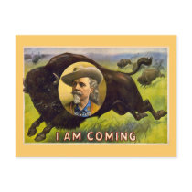 Buffalo Bill Vintage Advertisment circa 1900 Postcard